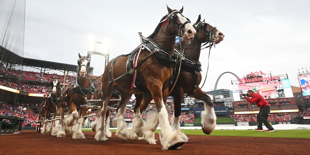 Everything you need to know about Opening Day for the Cardinals