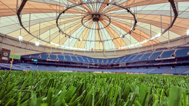 A cleat-level view of the center-field turf, looking toward the plate with the dome overhead, as renovations continue at Tropicana Field on Feb. 13, 2026, in Tampa, Fla, in preparation for the home opener on April 6. (Dirk Shadd/Tampa Bay Times)