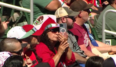 More than an exhibition at Salt River Fields