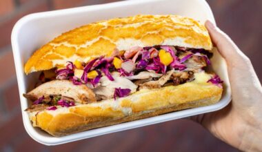 What's new for the 2026 baseball season