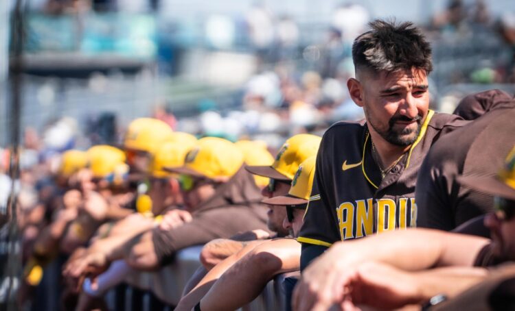 In a sea of Brown, Nick Castellanos is fitting in nicely with Padres