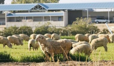 Tucson to Phoenix spring training shift