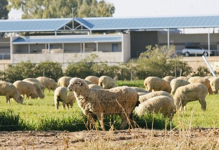 Tucson to Phoenix spring training shift