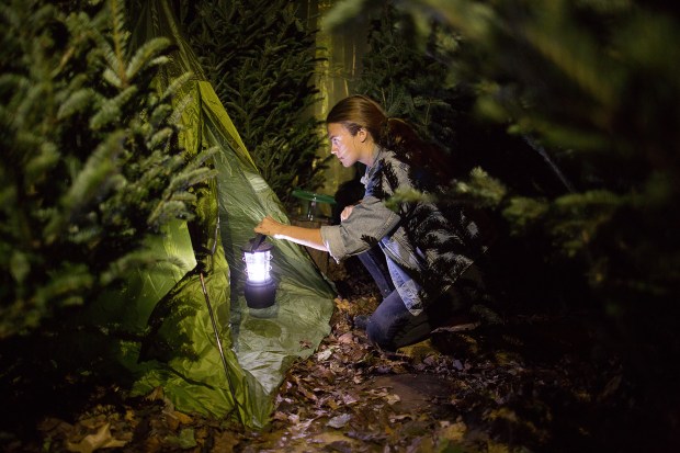 A visitor explores Rachel Lee Hovnanian's Nature Deficit Disorder immersion room. (Courtesy)