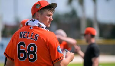 Orioles observations on Tyler Wells the reliever and a young OF’s ‘potential’ - Baltimore Sun