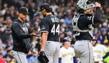 Chicago White Sox C left speechless after a tough day at the dish