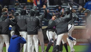 With 2 star performances, Luis Robert Jr. validating Mets’ spring optimism