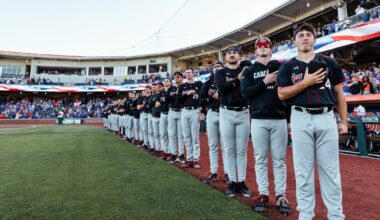 Baseball Hosts Arkansas in First Home SEC Series – University of South Carolina Athletics