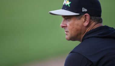 Why Yankees' Aaron Boone still isn't an ABS fan