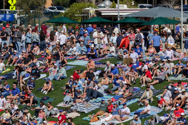 Fans sit behind the outfield while watching the Chicago Cubs play the Texas Rangers during the fourth inning of a Cactus League game at Sloan Park Saturday Feb. 21, 2026 in Mesa, Ariz. (Armando L. Sanchez/Chicago Tribune)