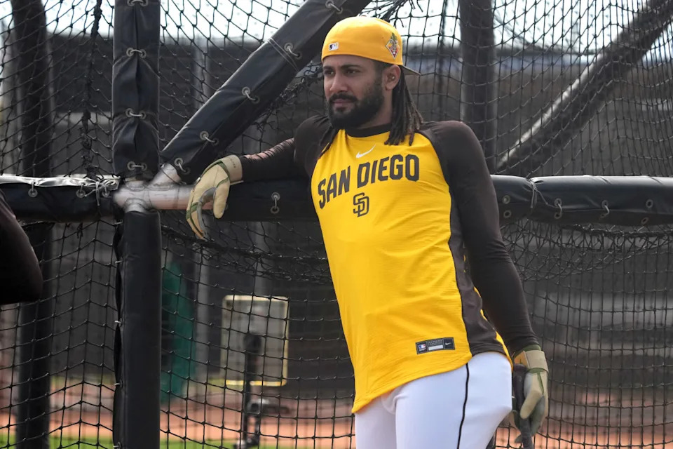 San Diego Padres right fielder Fernando TatÃs Jr. (23)© Rick Scuteri-Imagn Images