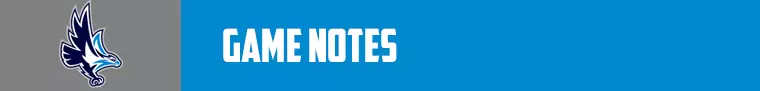 Game Notes