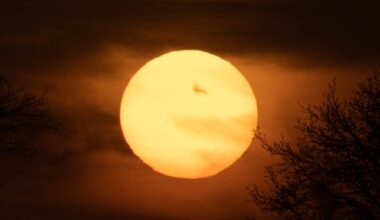 Arizona Diamondbacks Spring Training Gameday Thread, #29 vs. Rangers