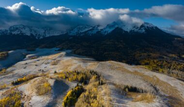 Cactus League Game 16 - Reds at Rockies