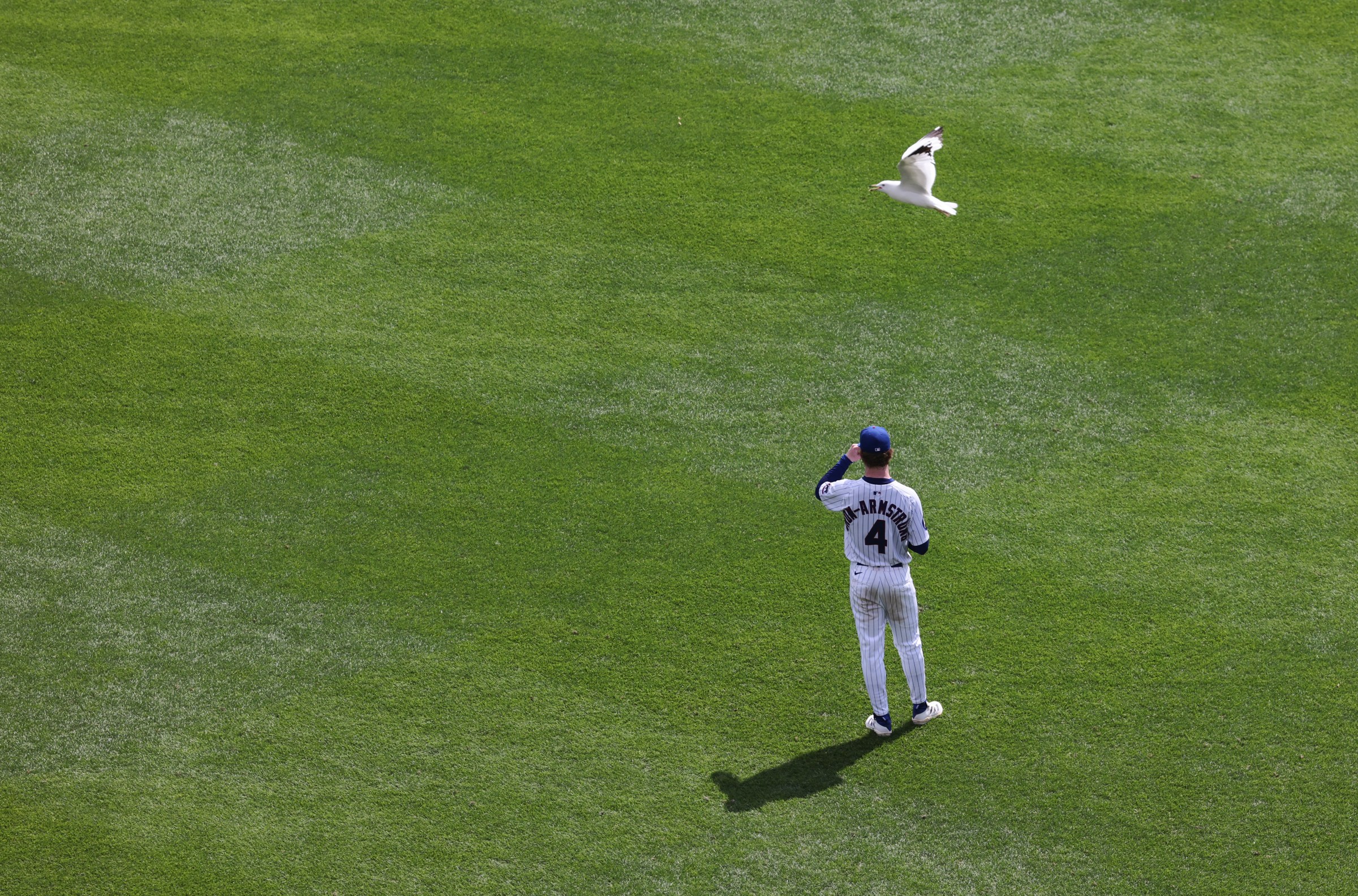 Wow what a beautiful picture of a bird. No other reason it’s here, that’s for sure.