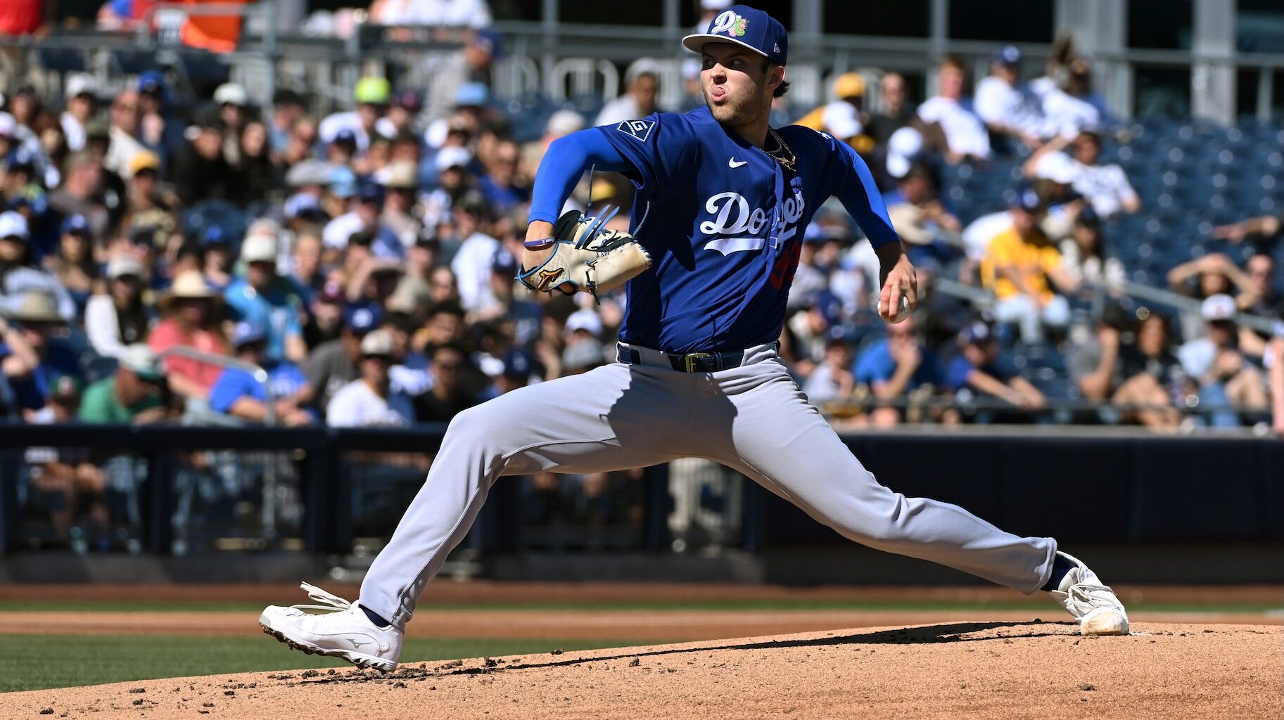 Major League Baseball Leagues & Divisions, Explained