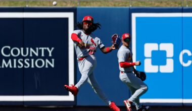 Ryan Mitchell is your #20 St. Louis Cardinals prospect