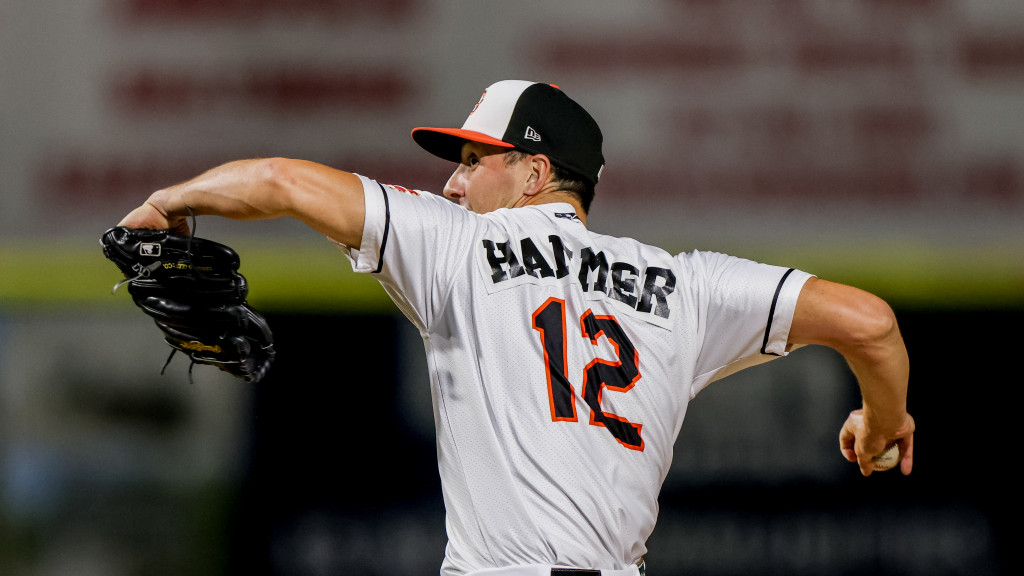 Mets Sign Dan Hammer to Minor League Deal