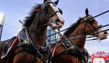 The St. Louis Cardinals begin the 2026 Championship Season