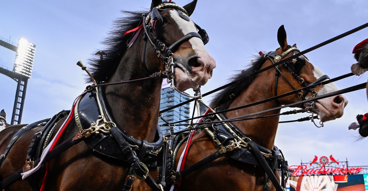 The St. Louis Cardinals begin the 2026 Championship Season