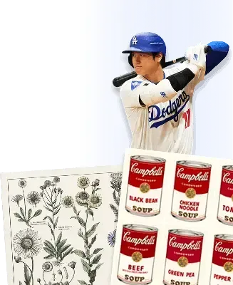 shohei ohtani, plants, andy wharhol art