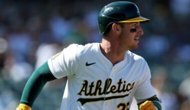 Fantasy Baseball Expert Draft: AL LABR
