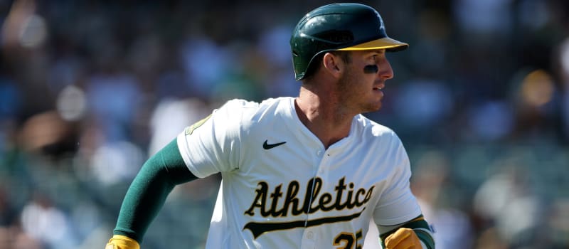 Fantasy Baseball Expert Draft: AL LABR