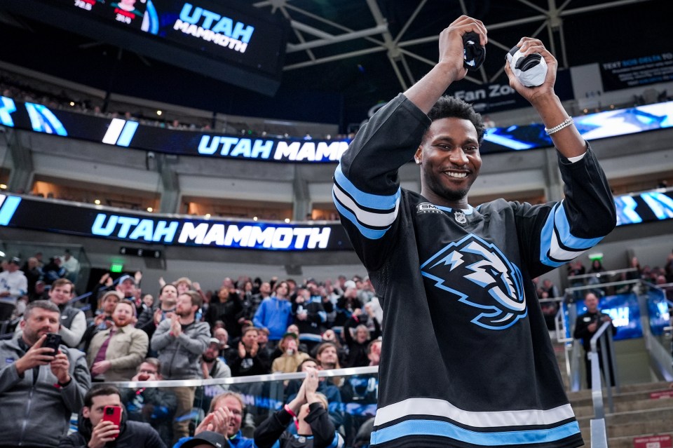 The Mammoth have been a welcome addition to NHL