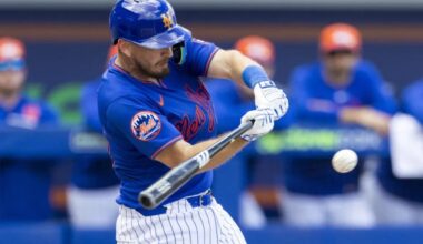 Austin Barnes trying to extend his career with Mets