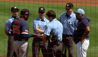 Rays fall to Netherlands national team in exhibition game