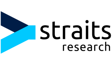 Top Baseball Apparel Manufacturers of 2024