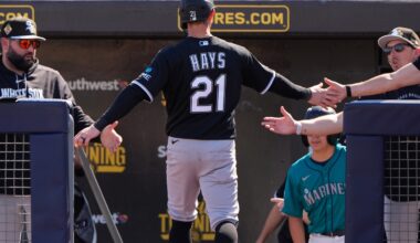 White Sox outfielder Austin Hays brings steadying force to lineup