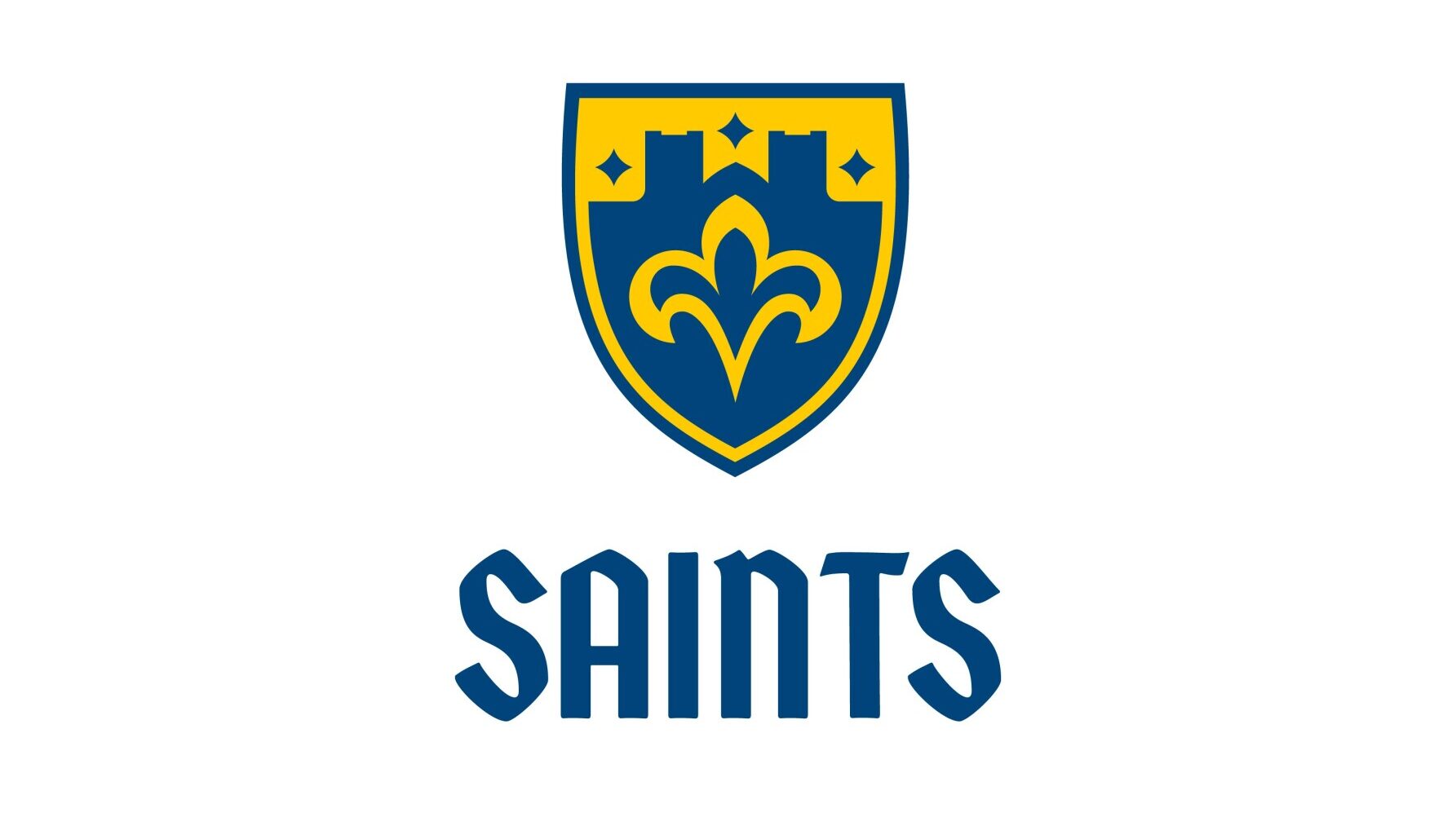 Saints sports week: CSS baseball sweeps Florida doubleheader - Duluth News Tribune