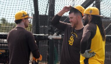 Padres Infielder Wants to Pitch for Team This Season