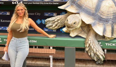 Tricia Whitaker Pat Murphy Turtle Tortoise Milwaukee Brewers