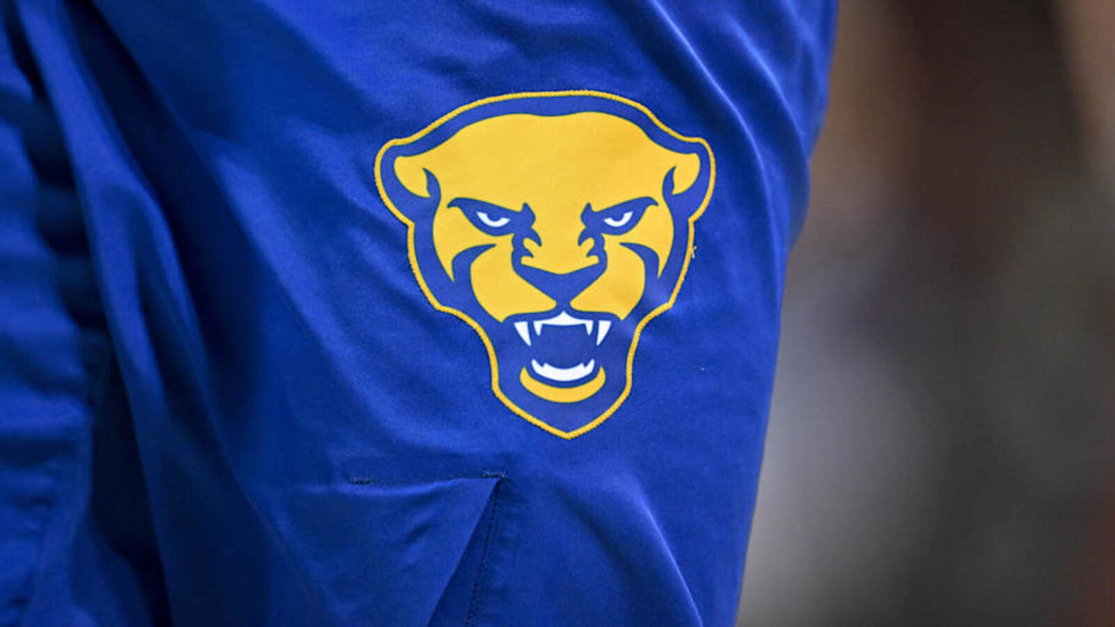 Pitt's Path to Postseason Baseball