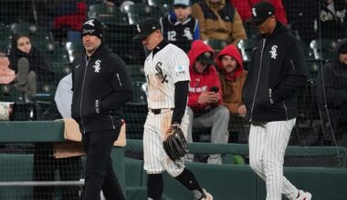 White Sox OF Austin Hays sidelined by right hamstring strain
