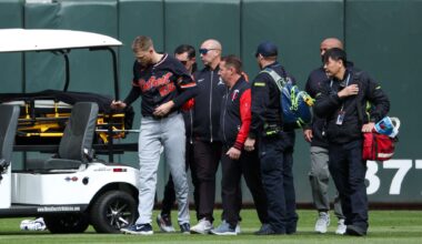 Tigers' Parker Meadows goes on injured list with concussion and broken arm after collision