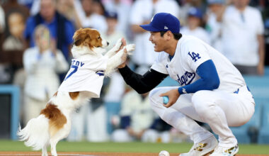 Shohei Ohtani Ties Dodgers Record While LA's Depth Shines