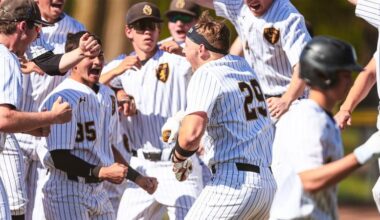 Baseball snaps skid with home sweep of Hamline