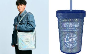 Details of Seibu Lions