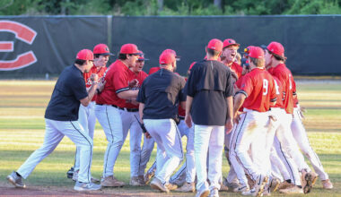 State baseball playoffs begin | Emanuel County Live