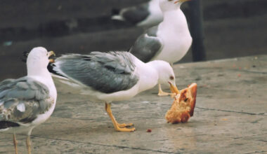 Yahoo lifestyle home