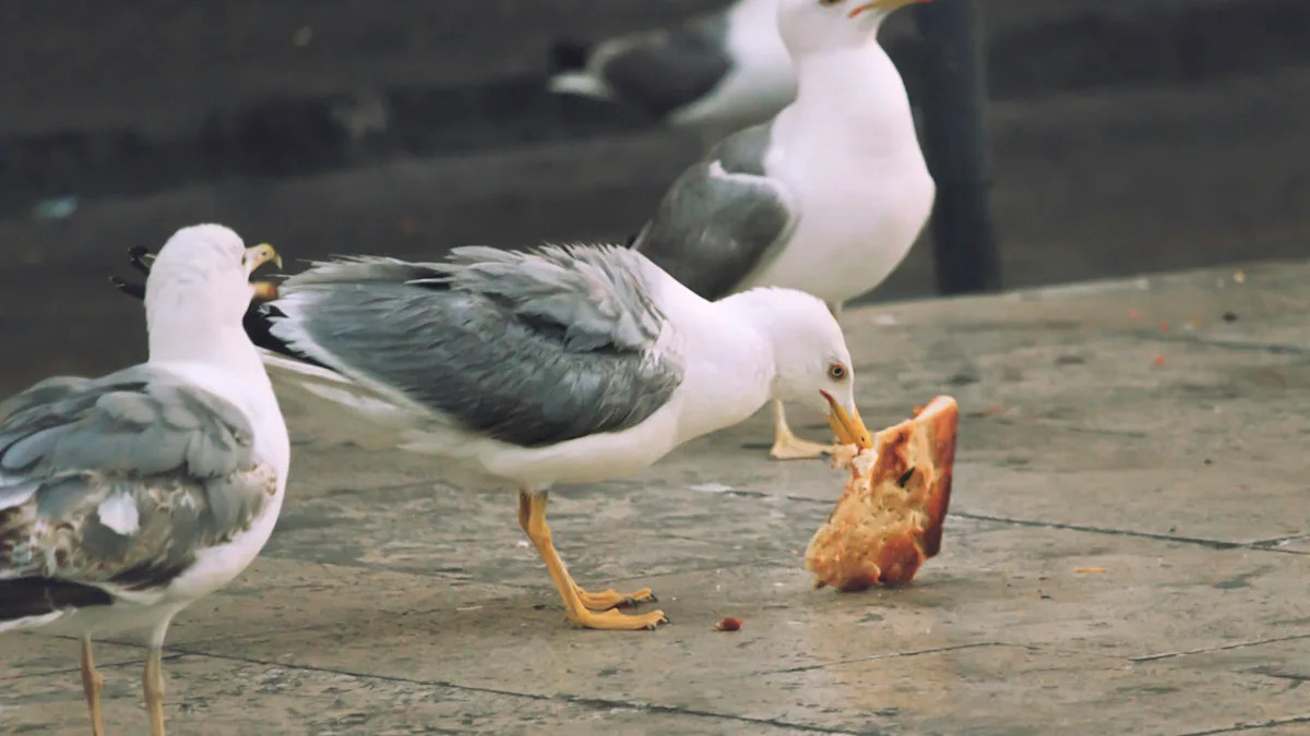 Yahoo lifestyle home