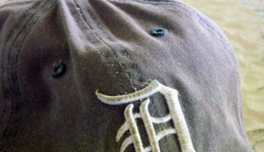 Tigers Lose To Twins | WGHN