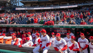 Key Players and New Management