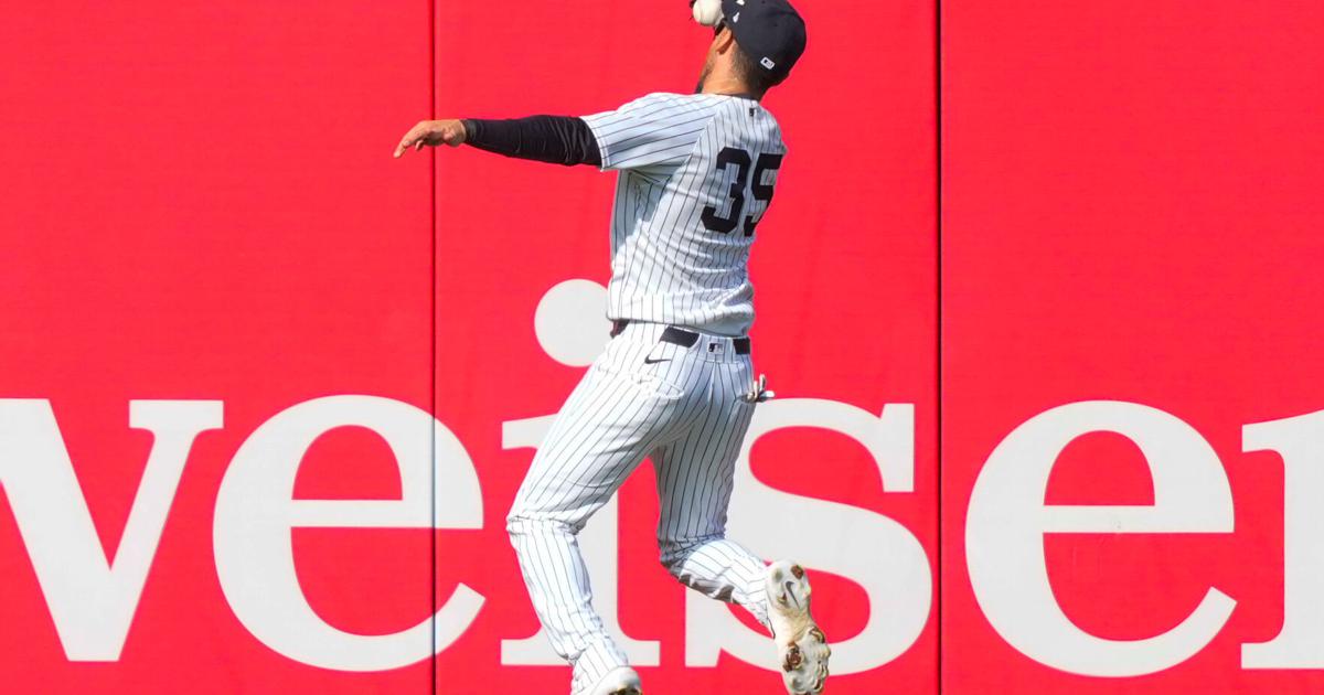 Yankees left fielder Cody Bellinger makes acrobatic catch to rob Marlins' Xavier Edwards | National Sports