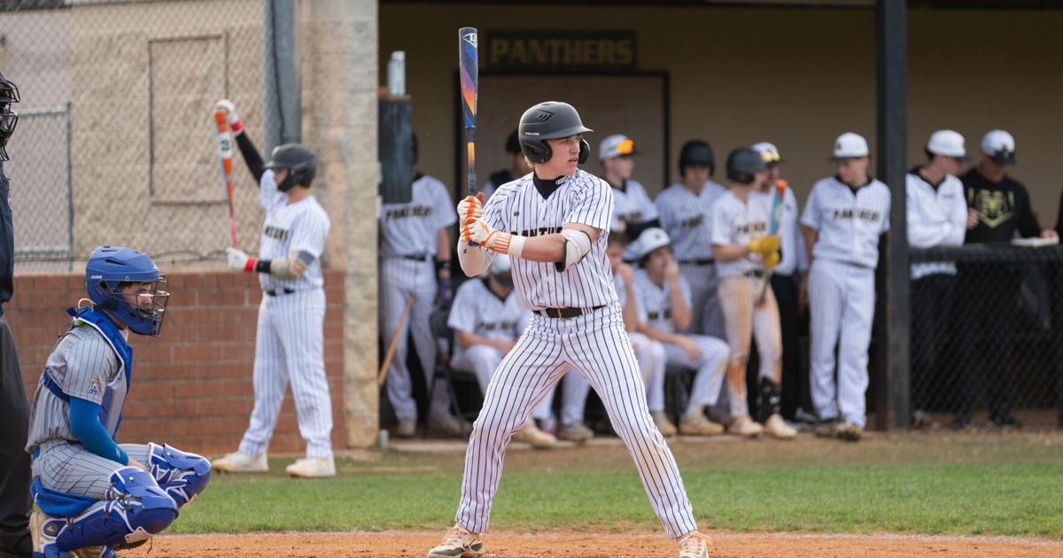 Panther rally falls just short | Local Sports