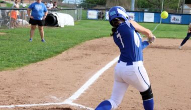 Blue Devils softball sweeps Alton | Sports