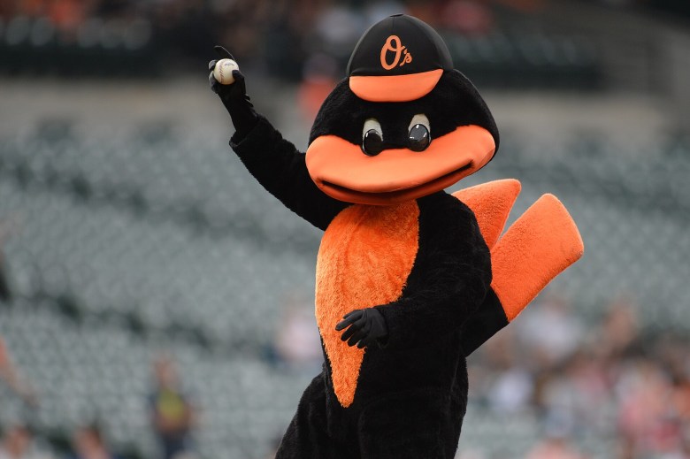The Oriole Bird Mascot Was “Hatched” From An Egg Maryland History